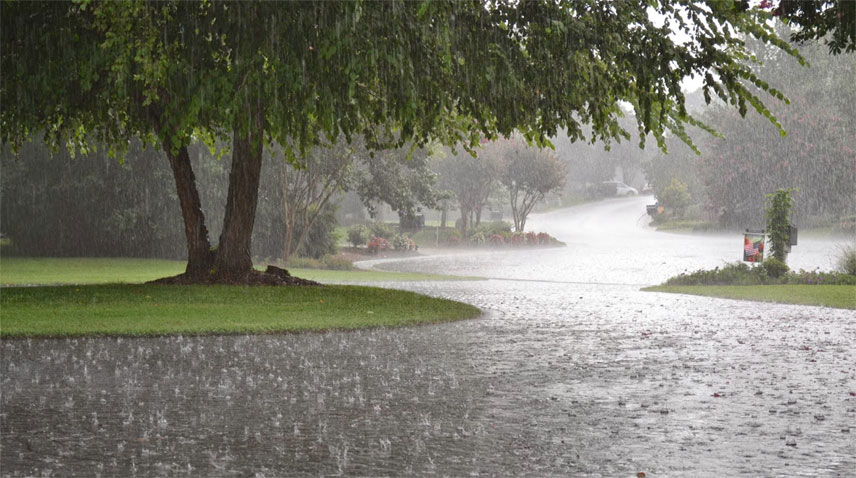 PDMA Issues Alert for Rain, Thunderstorms, Snowfall in Punjab