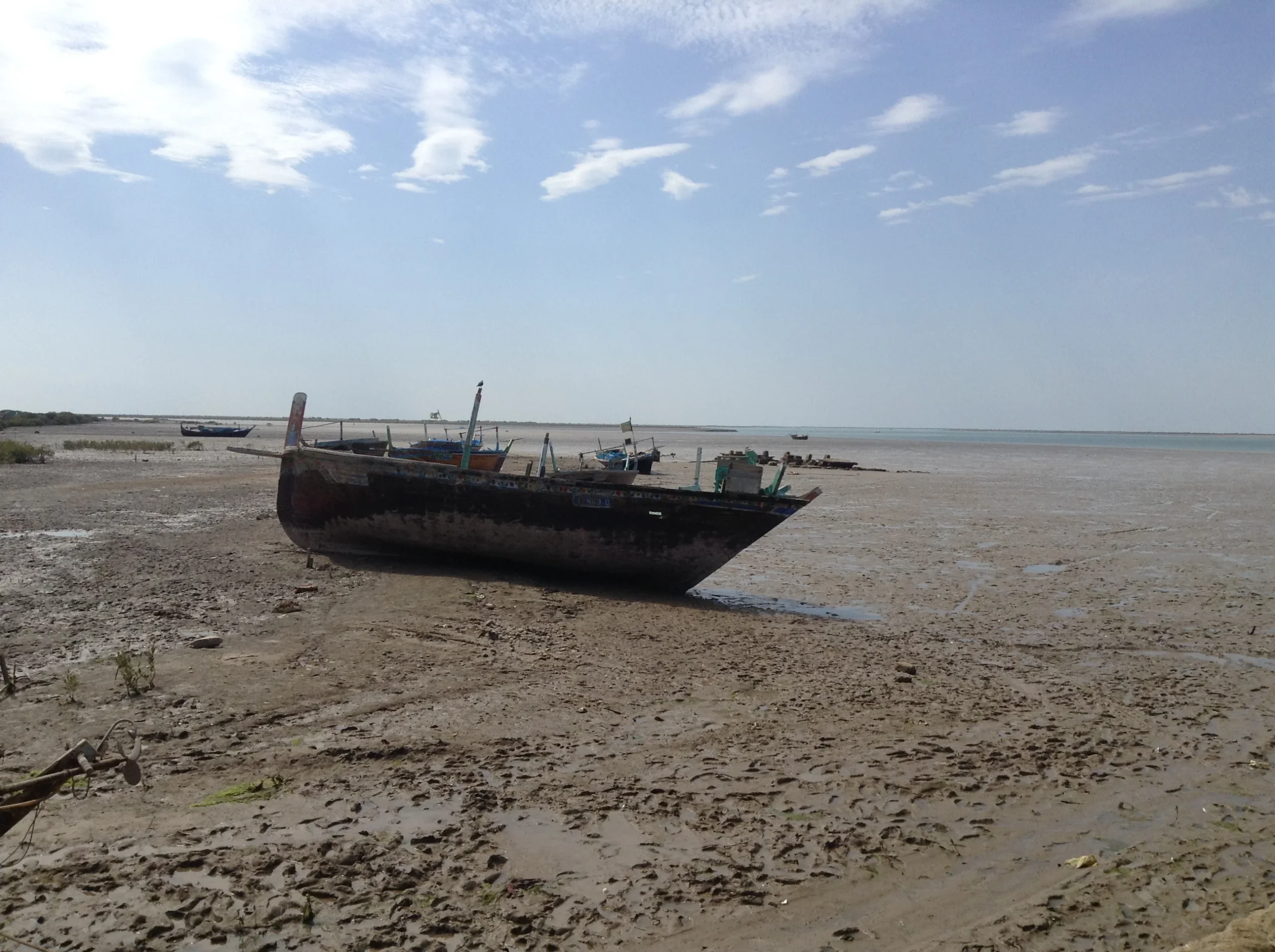 Pakistan Launches First Climate Change Authority