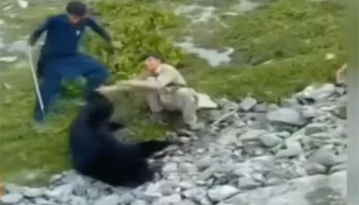 Black Bear Tortured in Tangir: FIR Filed, Minister Responds