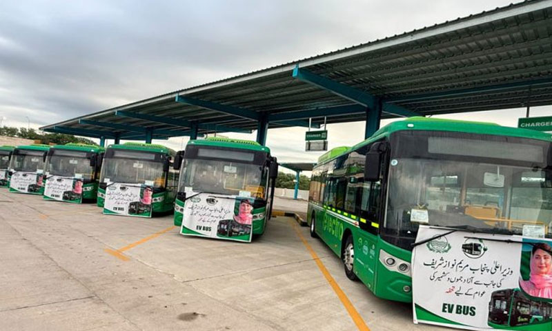 electric buses