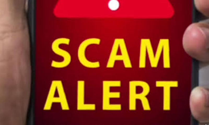 fake e-challan