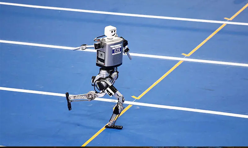 humanoid